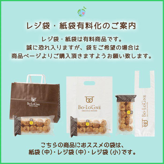 ボローニャプチG　ココナッツ 10個入 | ボローニャ | 04