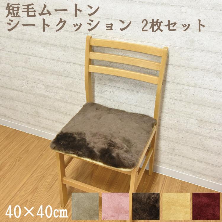 ムートンシートクッション 短毛タイプ 2枚セット ムートンクッション