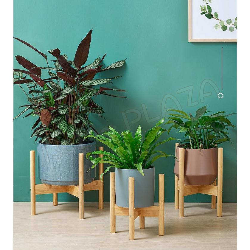 写真付きレビュー ウッドポットスタンド Rectangle フラワースタンド 鉢台 Stem 木製 鉢付き 植木鉢スタンド の通販商品 口コミ情報 Roomclipショッピング ガーデニング日和ウッドポットスタンド Rectangle フラワースタンド 鉢台 Stem 木製 鉢付き 植木鉢スタンド