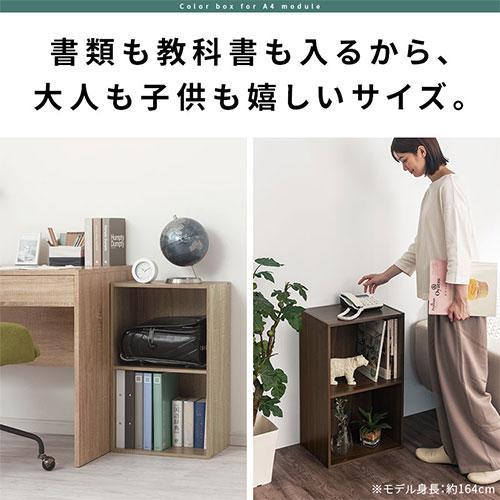 【開梱設置サービス付き】 本棚 スリム カラーボックス 2段 A4 A4ファイル 大容量 書類棚 収納ラック おしゃれ 北欧 収納棚 2段ラック 扉無し 雑誌 カタログ｜bon-like｜07