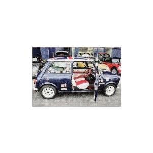 クラシックミニ　カバナシートカバー　パディントンタイプ　全シート |  | 05