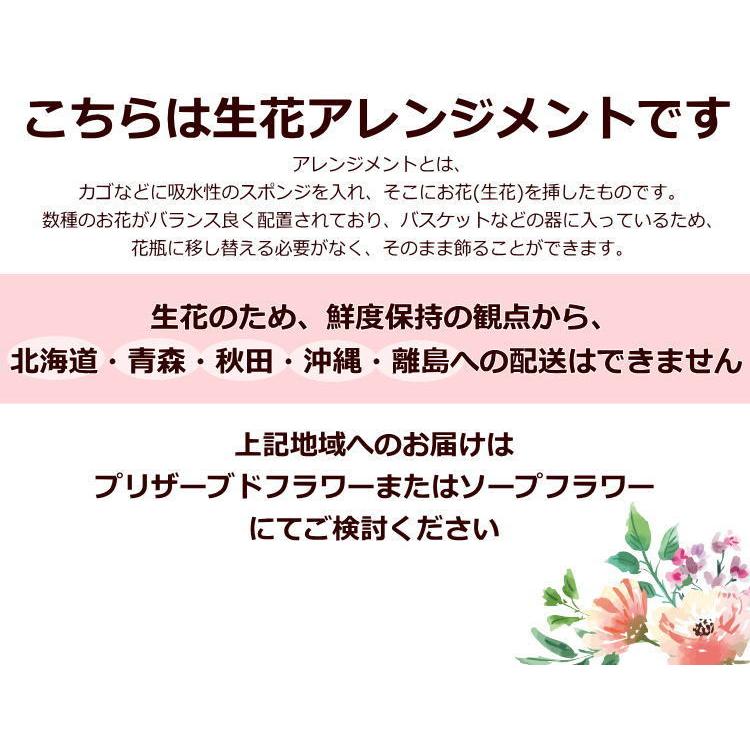 誕生日 卒業 お祝い 花 ギフト バースデー プレゼント 記念日 プレゼント 女性 女の子 御祝 季節のお花でおまかせ生花アレンジメント  [生花アレンジメント]｜bon-sense｜03