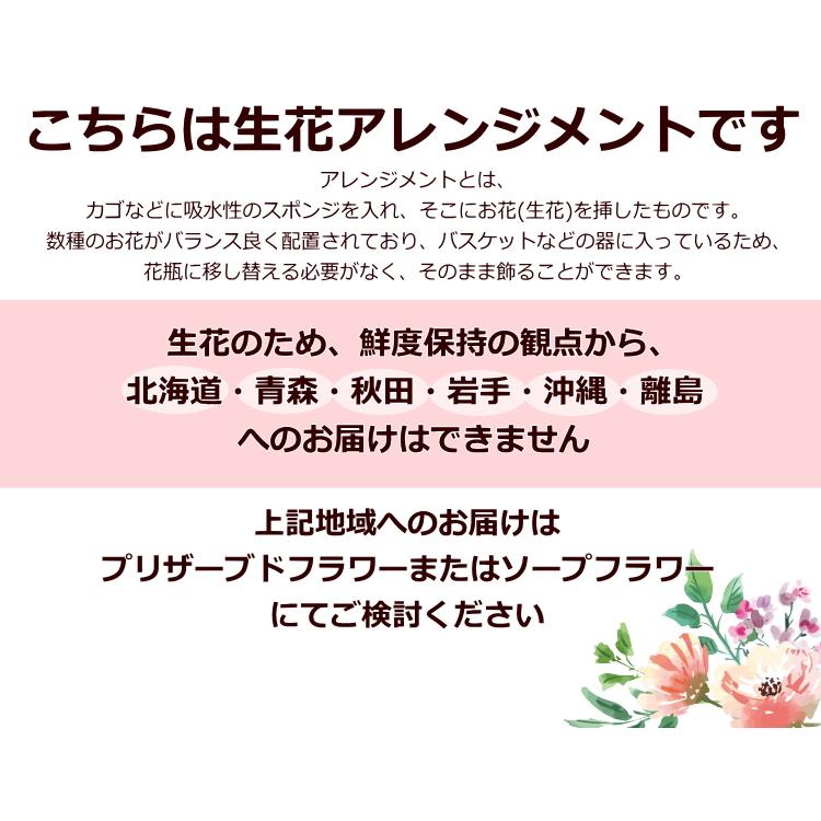 誕生日 卒業 お祝い 花 ギフト バースデー プレゼント 記念日 女性 女の子 母の日 2026  季節のお花でおまかせ生花アレンジメント  [生花アレンジメント] |  | 02