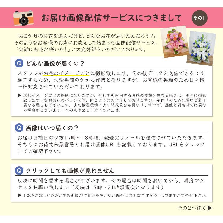 誕生日 卒業 お祝い 花 ギフト バースデー プレゼント 記念日 女性 女の子 母の日 2026  季節のお花でおまかせ生花アレンジメント  [生花アレンジメント] |  | 03