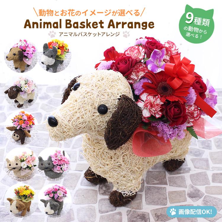 動物とお花のイメージが選べる【アニマルバスケットアレンジ】誕生日