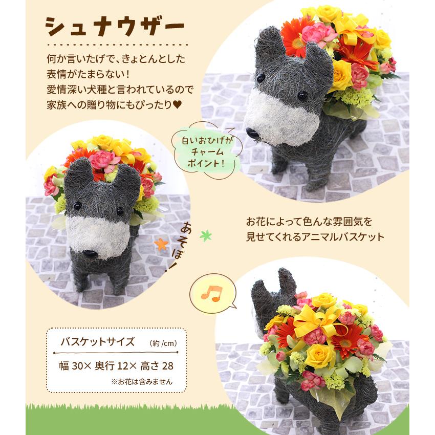 動物とお花のイメージが選べる【アニマルバスケットアレンジ】誕生日