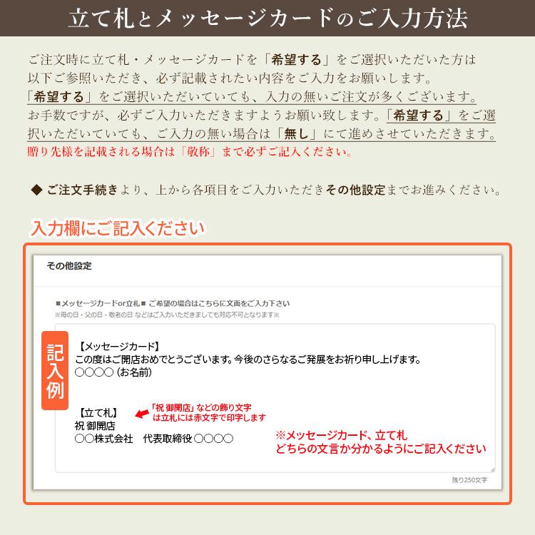 11時までのご注文で当日出荷】胡蝶蘭 ミディホワイト 3本立以上 画像