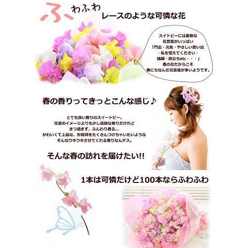 春の誕生花スペシャル スイ トピーミックス100本の花束 Pi 100 花 フラワーギフト ボンサーンス 通販 Yahoo ショッピング