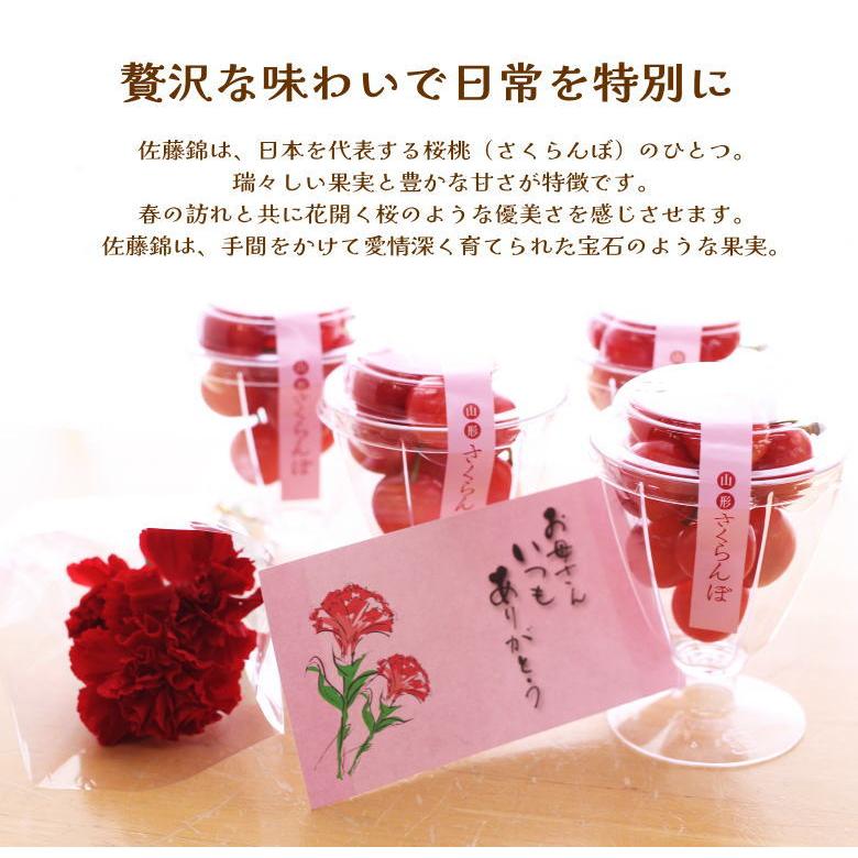 母の日2025 ギフト 山形県産さくらんぼ 佐藤錦 計300g フルーツ
