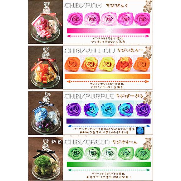 ガラスドーム 温度で色が変わる 魔法のプリザーブドフラワーちび Kuma Tibi 花 フラワーギフト ボンサーンス 通販 Yahoo ショッピング