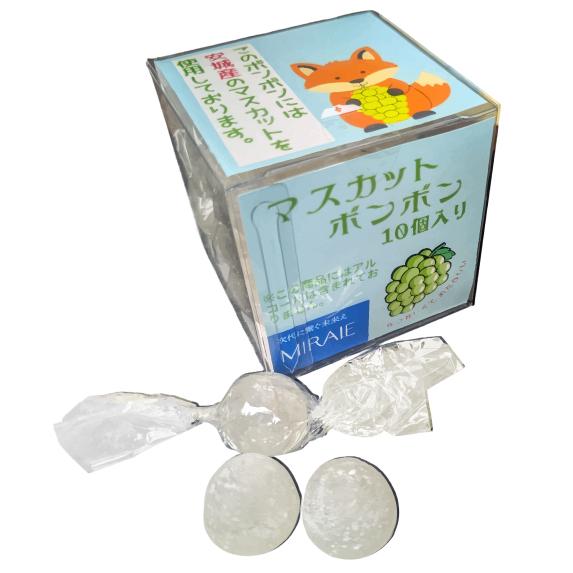 砂糖菓子ボンボン シャインマスカット味 10個入り : ボンボン専門店