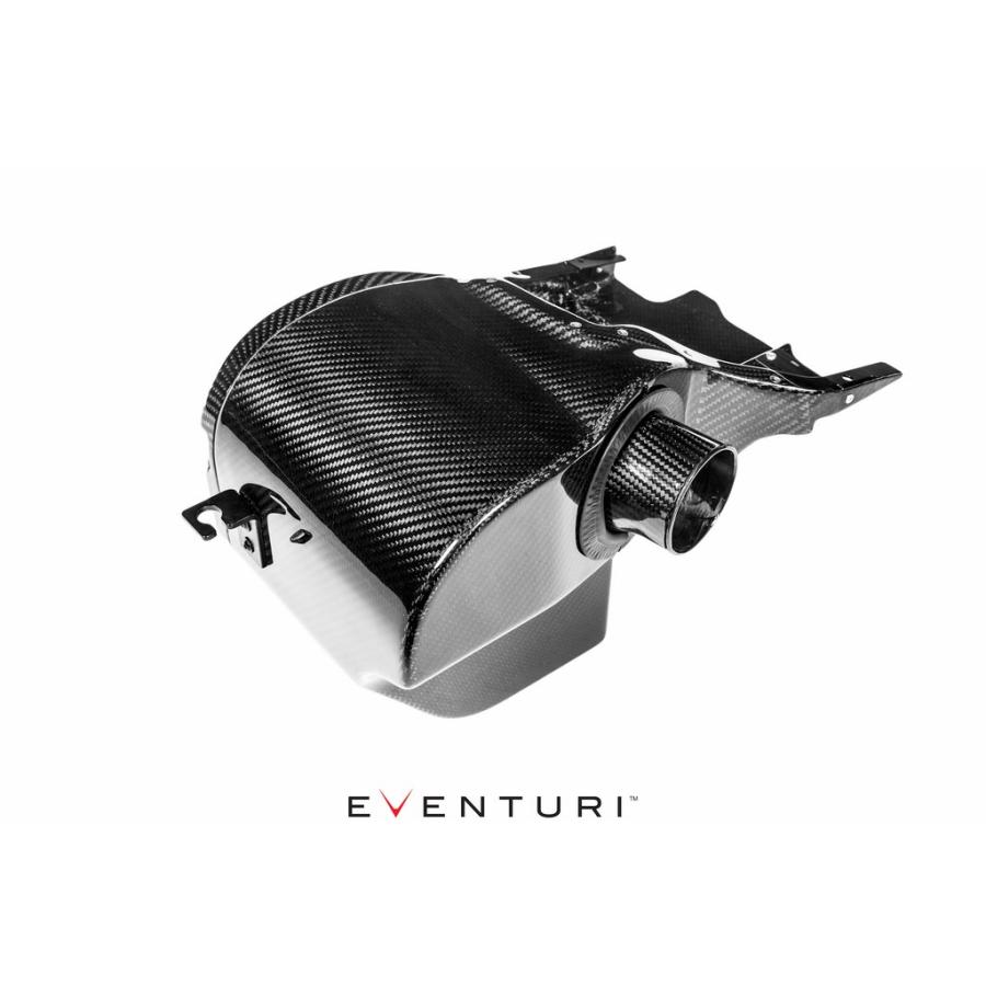 新入荷 EVENTURI シビックtype-R FK8　カーボンインテークシステム 【3901623834】(136620円)