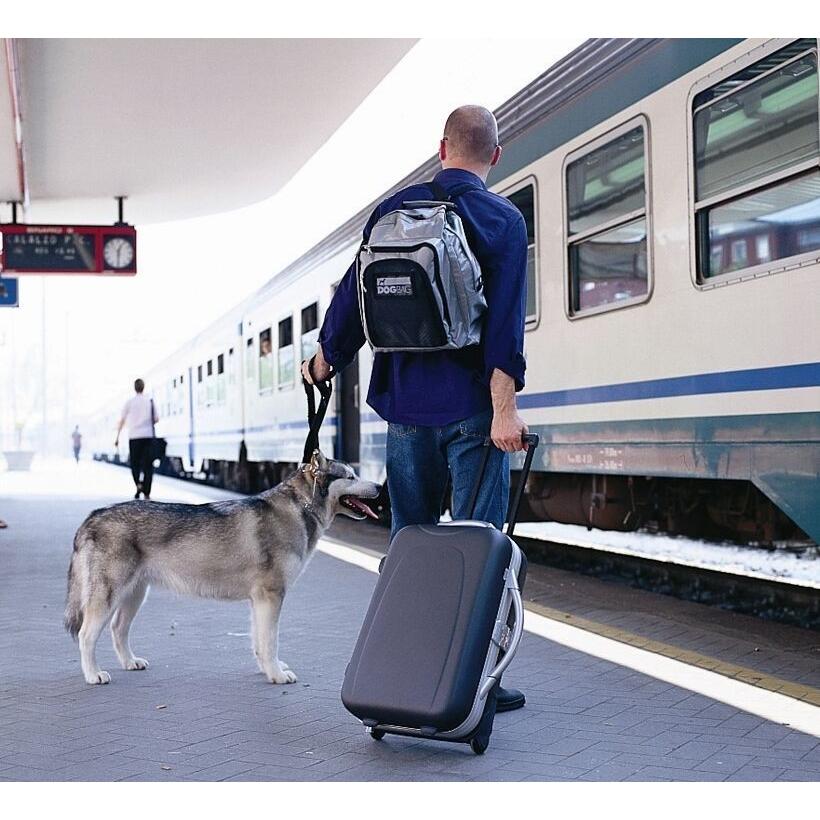 egr dogbag Lサイズ egr イージーアール DOGBAG ドッグバッグ L | 商品種別,ペットアイテム