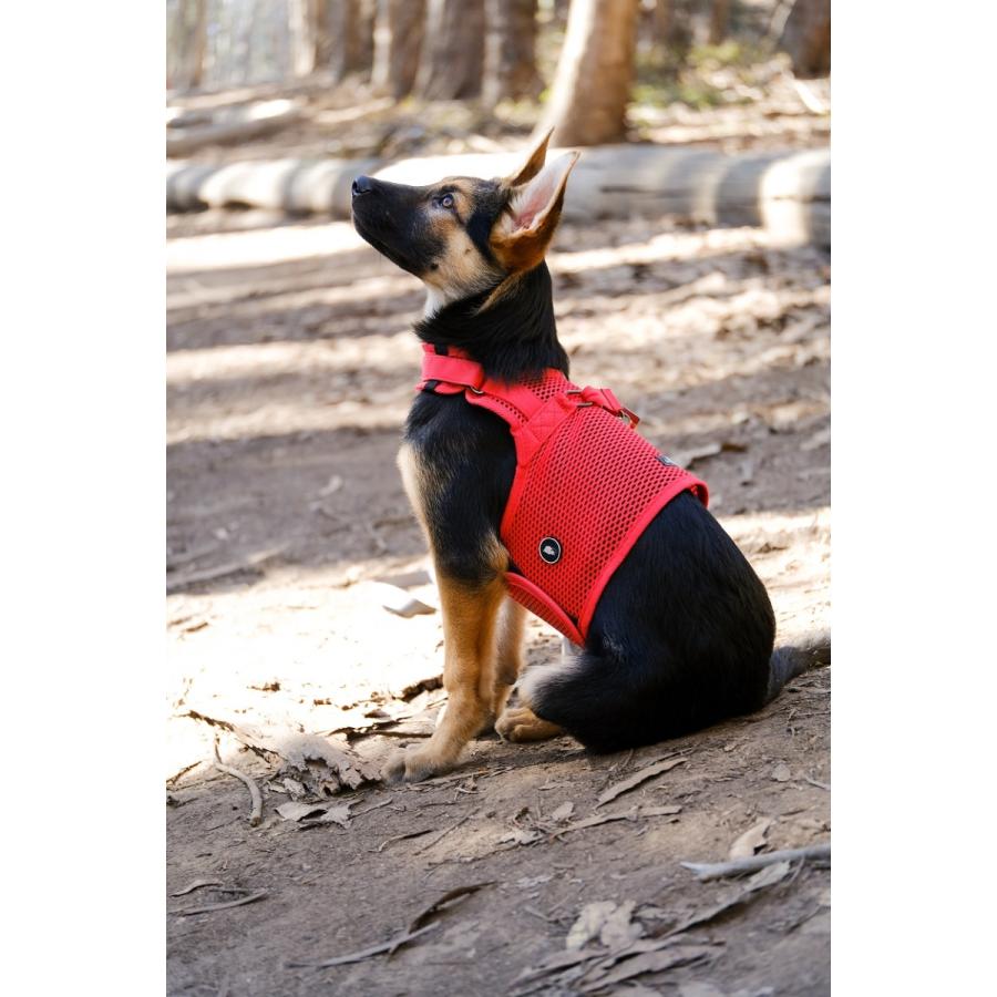 sleepypod Martingale Dog Harness マーチンゲールドッグハーネス （全5カラー/3サイズ）ハーネス 犬用ハーネス