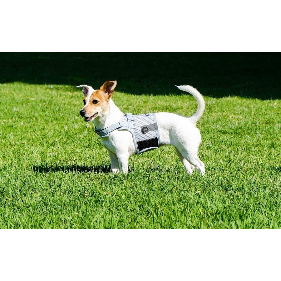 sleepypod Martingale Dog Harness マーチンゲールドッグハーネス （全5カラー/3サイズ）ハーネス 犬用ハーネス ドッグハーネス スリーピーポッド lag01