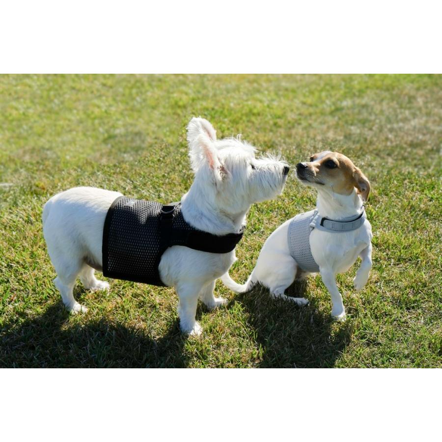 sleepypod Martingale Dog Harness マーチンゲールドッグハーネス （全5カラー/3サイズ）ハーネス 犬用ハーネス