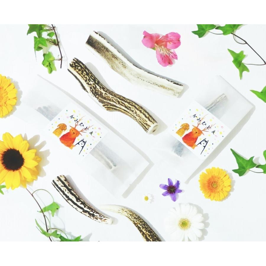 鹿の角　犬用　半割り２本　１４cm前後　かみひとえ　ペット　北海道　エゾ鹿　玩具　角　ギフト　プレゼント　デンタルケア　小型犬　中型犬　大型犬 |  | 01