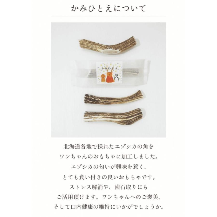 鹿の角　犬用　半割り２本　１４cm前後　かみひとえ　ペット　北海道　エゾ鹿　玩具　角　ギフト　プレゼント　デンタルケア　小型犬　中型犬　大型犬 |  | 05