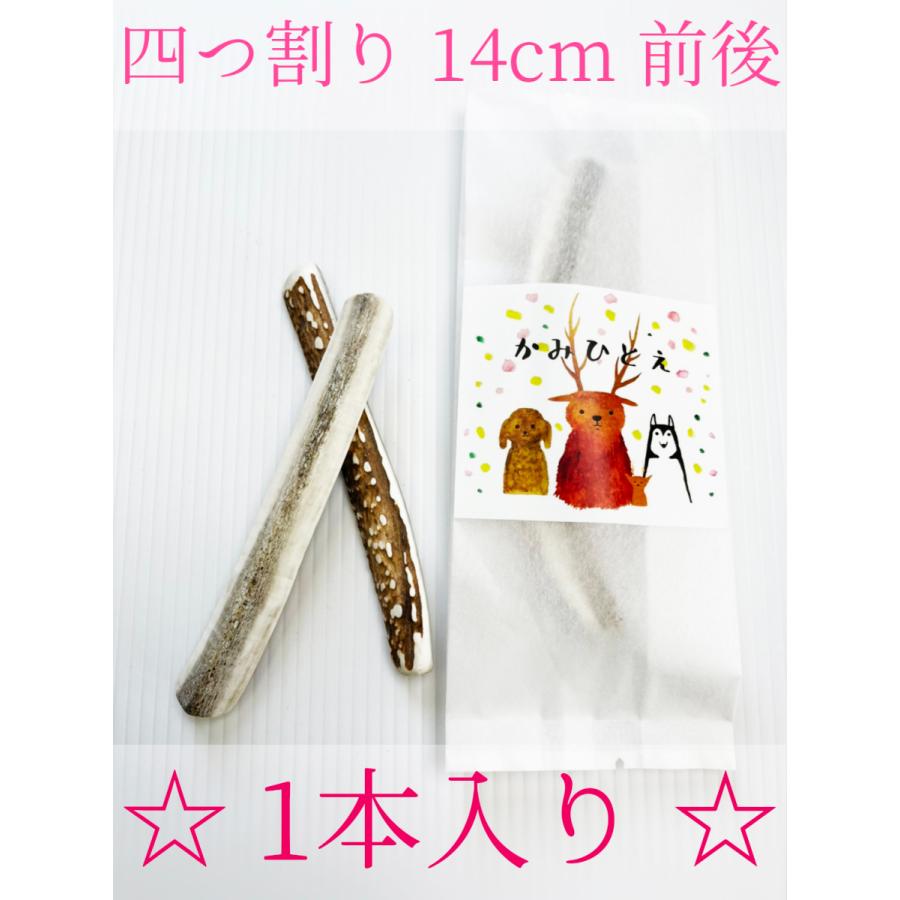 鹿の角 犬用 四つ割1本 14cm前後 かみひとえ ペット 北海道