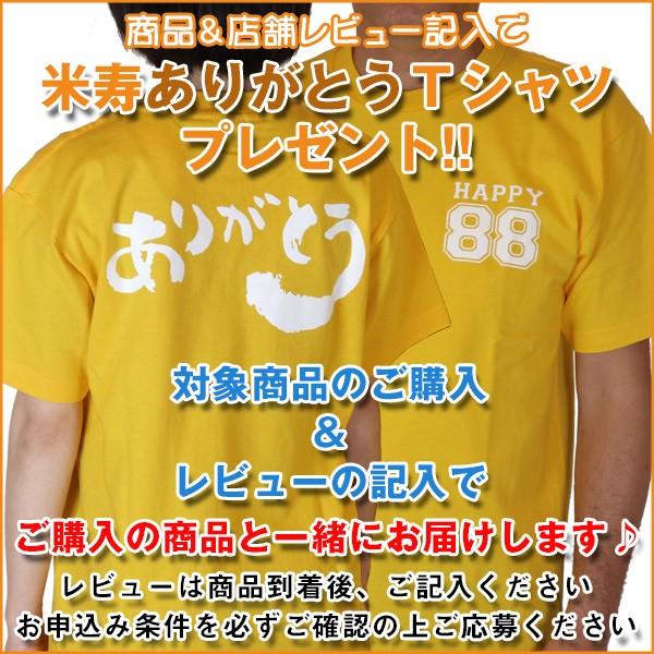 傘寿 祝い 米寿 プレゼント 似顔絵ポエム 朱色色紙額 1〜2人用 お名前 名前詩 ネームインポエム 傘寿のお祝い 米寿のお祝い 父 母 傘寿祝い 米寿祝い 贈り物｜bondsconnect｜21