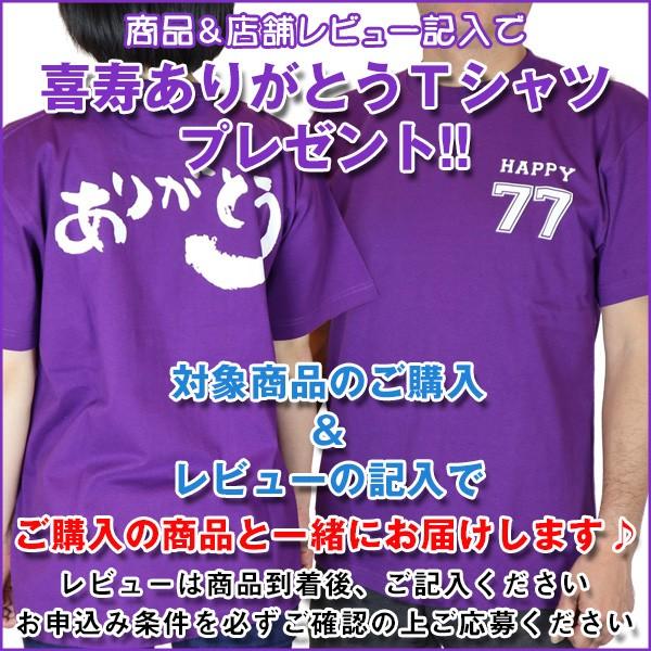 喜寿のお祝い 似顔絵ポエム 朱色色紙額 似顔絵 4人用 ネームインポエム お名前 名前詩 額入り 喜寿祝い プレゼント 喜寿 77歳 男性 女性 両親 贈り物｜bondsconnect｜21