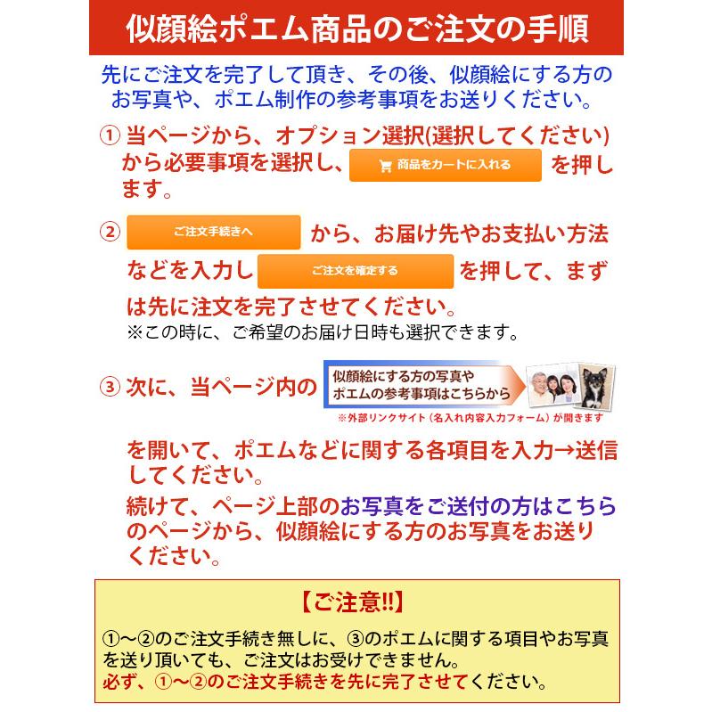 喜寿のお祝い 似顔絵ポエム 朱色色紙額 似顔絵 5人用 ネームインポエム お名前 名前詩 額入り 喜寿祝い プレゼント 喜寿 77歳 男性 女性 両親 贈り物｜bondsconnect｜19