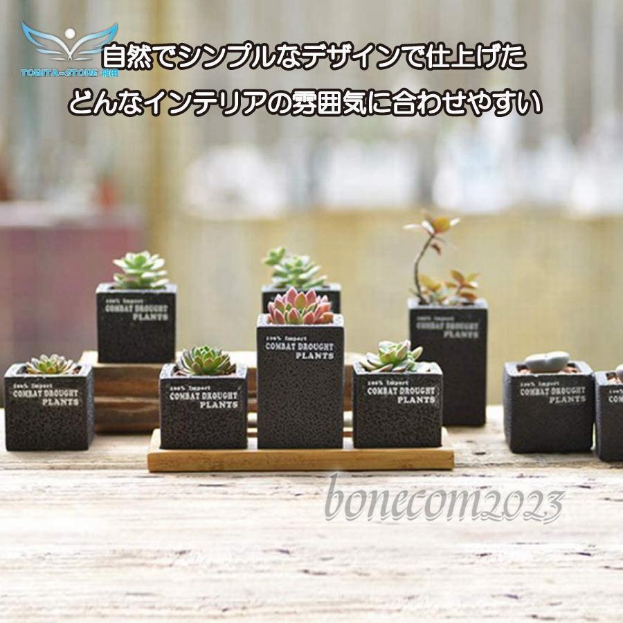 植木鉢 3点セット 多肉植物鉢 サボテン鉢 フラワーポット プランター容器  北欧 おしゃれ 卓上 飾り置物 インテリア｜bonecom2023｜04