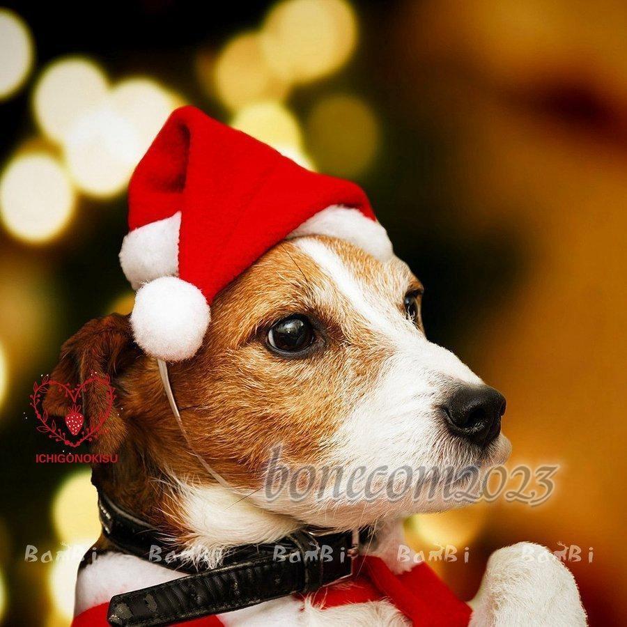 サンタ帽 クリスマス パーティー ペット用 3点入り クリスマス 帽子 おしゃれ｜bonecom2023｜08