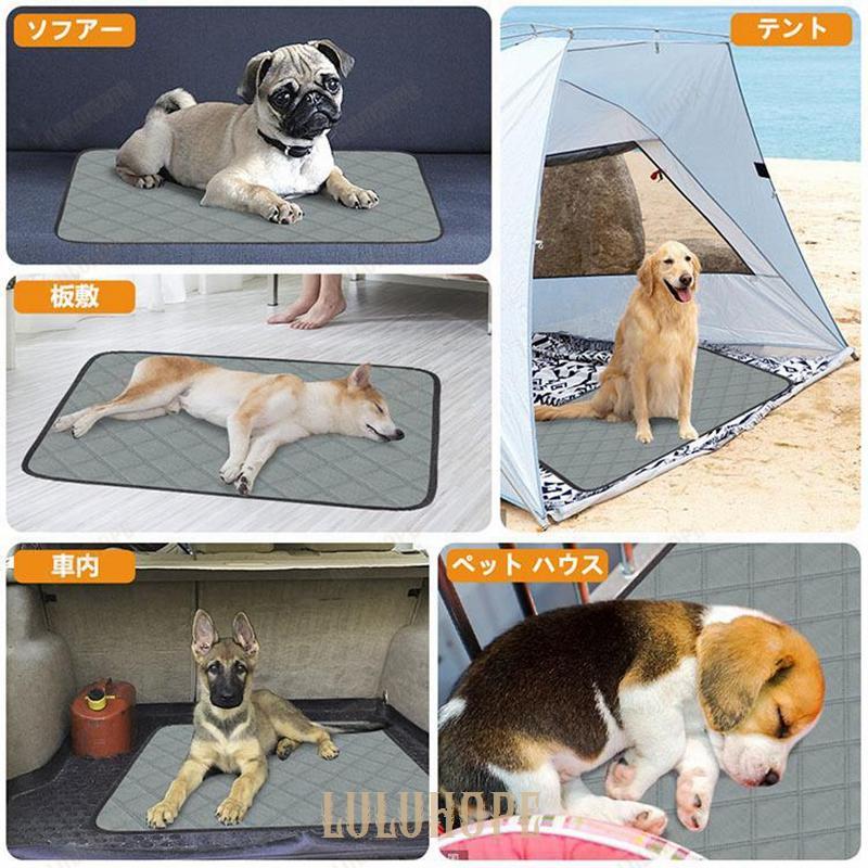 ペット用トイレマットMサイズ ペットマット ２枚セット 小型 中型 犬・猫 超吸収 速乾 抗菌 消臭 介護 防水 漏れ防止 滑り止め  丸ごと洗える 繰り返し使用可能｜bonecom2023｜05