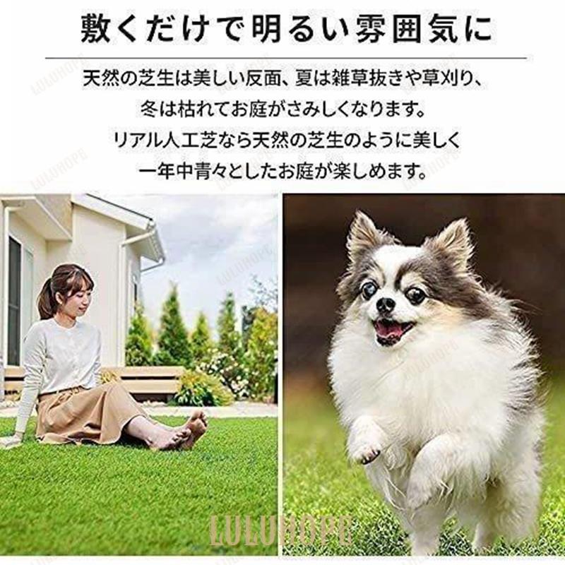 アイリスオーヤマ 国産 防草人工芝 2m×5m 芝丈3cm 防カビ仕様 防草仕様 