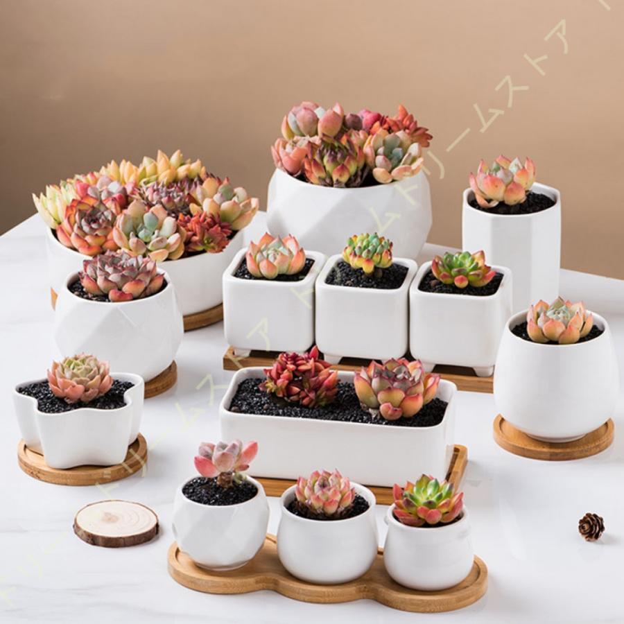 陶器鉢 白 植木鉢 多肉植物鉢 サボテン鉢 観葉植物ポット 穴付き 陶器鉢 白 植木鉢 多肉植物鉢 サボテン鉢 観葉植物ポット 穴付き