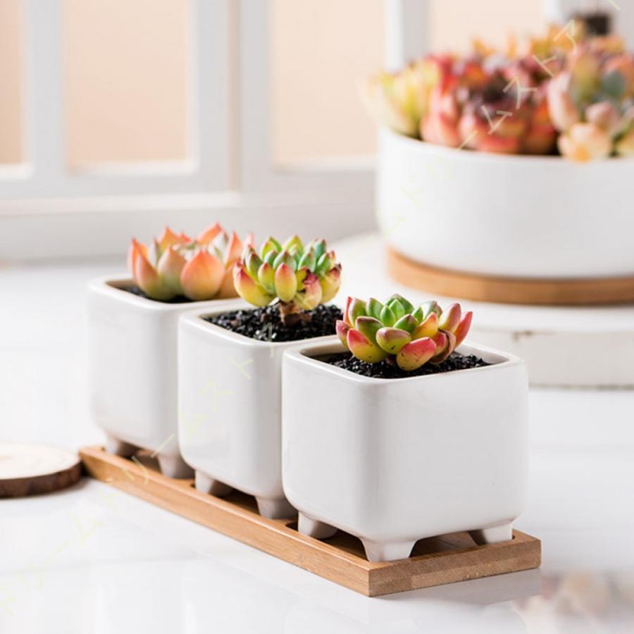 陶器鉢 白 植木鉢 多肉植物鉢 サボテン鉢 観葉植物ポット 穴付き 陶器鉢 白 植木鉢 多肉植物鉢 サボテン鉢 観葉植物ポット 穴付き