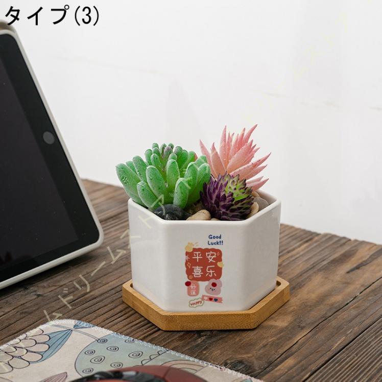 多肉植物鉢 陶器鉢 植木鉢 プランター サボテン鉢 六角形 （サイズ10*7CM） ミニ盆栽 底穴あり 竹トレイ付き ヘキサゴン ホワイトセラミック 観葉植物｜bonecom2023｜04