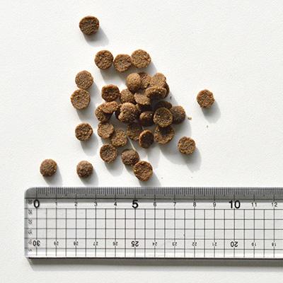 Kia Ora（キアオラ） ドッグフード ラム&サーモン 5Kg : bonheur-dog