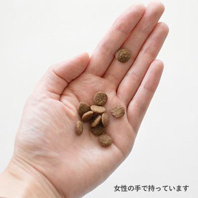 Kia Ora（キアオラ） ドッグ カンガルー 400g : bonheur-dog - 通販