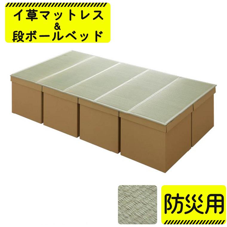 【最大30%OFFクーポン 6/13〜15限定】防災 段ボール 畳 ベッド マットレス い草 緊急 災害 避難 簡易ベッド 耐荷重300kg