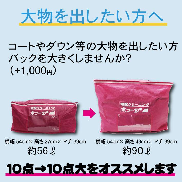 クリーニング 宅配 詰め放題 １０点まで（ブロガーさん推薦♪）衣替え 今だけ有料しみぬきも無料（送料無料） |  | 13