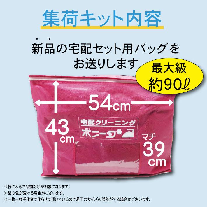 クリーニング 宅配 詰め放題 10点袋大（ブロガーさん推薦）衣替え 今だけ有料しみぬきも無料（送料無料） |  | 11