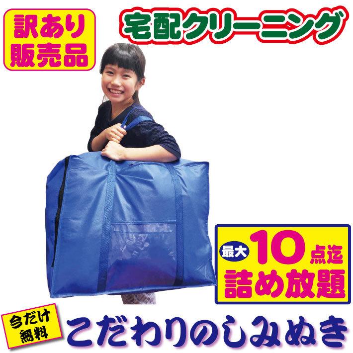 クリーニング 宅配 詰め放題 １０点まで（訳あり）（ブロガーさん推薦）衣替え 今だけ有料しみぬきも無料（送料無料）