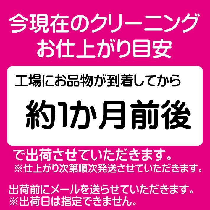 クリーニング 宅配 詰め放題 枚数制限無し（M） : 宅配クリーニング
