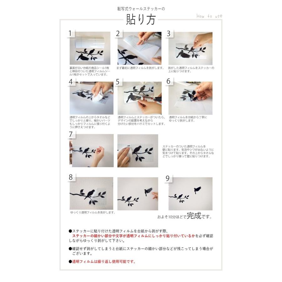 送料無料 ウォールステッカー スコティッシュフォールド 子猫 かわいい シール ペット シルエット