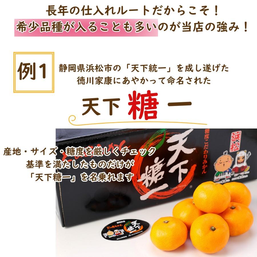 おうちdeボンマルシェ 季節の果物 詰め合わせ セット 彩 フルーツ