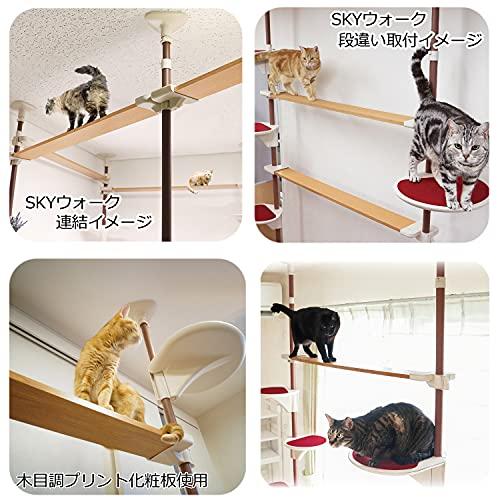 キャティーマン Nｅｋｏリビング キャティ―SKYウォークの画像