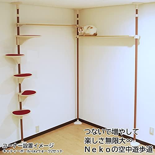 キャティーマン Nｅｋｏリビング キャティ―SKYウォークの画像