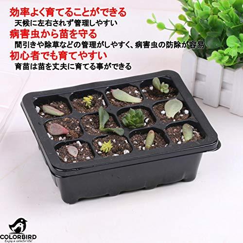 COLORBIRD 種まきポット 12穴 3セット 花 苗 ハーブ 植木鉢 おしゃれ