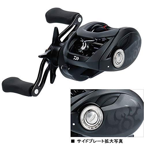 ダイワ(DAIWA) ベイトリール 19 タトゥーラ TW 100H (2019モデル