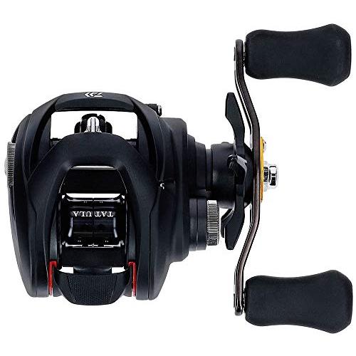 ダイワ(DAIWA) ベイトリール 19 タトゥーラ TW 100H (2019モデル