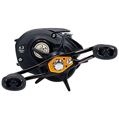 ダイワ(DAIWA) ベイトリール 19 タトゥーラ TW 100H (2019モデル