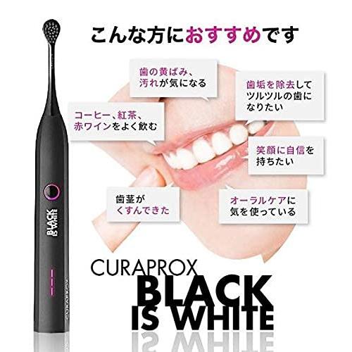 ブラックイズホワイト (Black is white) 粉歯みがき (20g