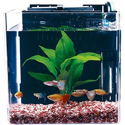テトラ (Tetra) スマート熱帯魚飼育セットSP-17TF (水槽容量 5L) 水槽 アクアリウム サカナ | 